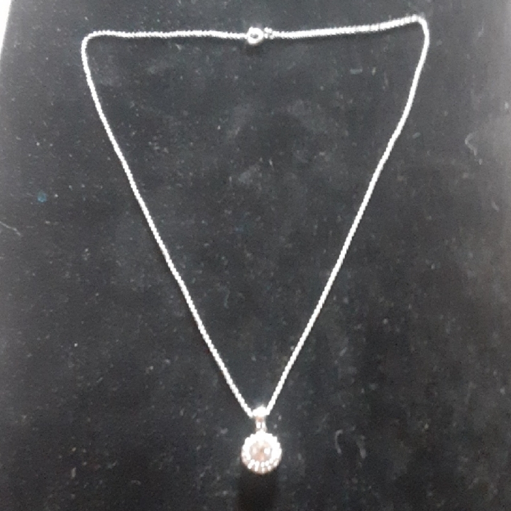 Elegant Silver Tone Necklace with Pendant